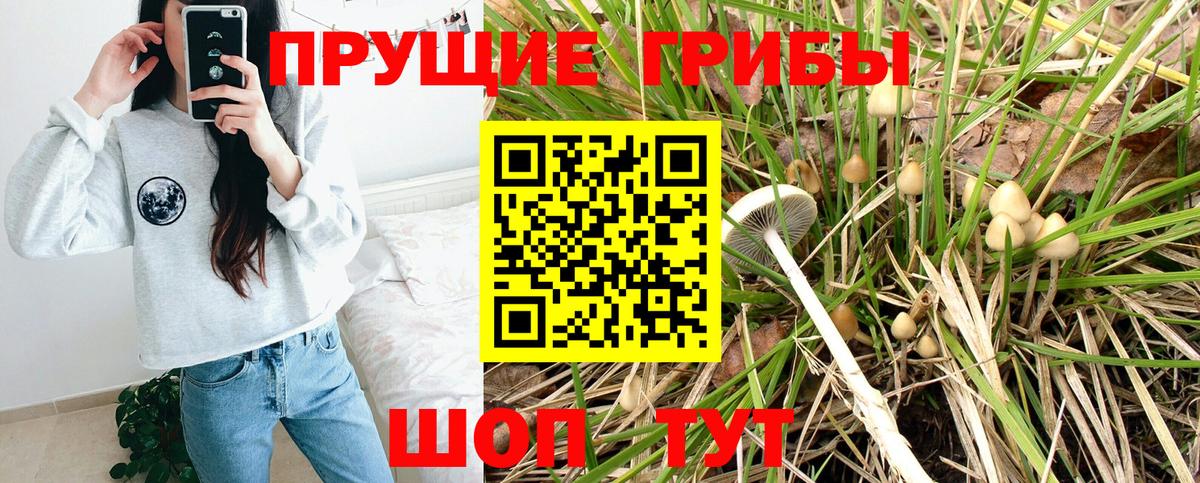 Учалы  Галлюциногенные грибы прущие грибы  хочу наркоту  Вход с VPN 