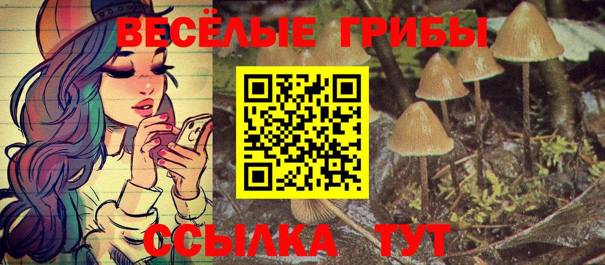Галлюциногенные грибы Cubensis Учалы